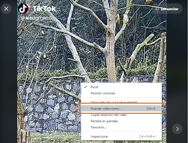 tiktok descargar 6