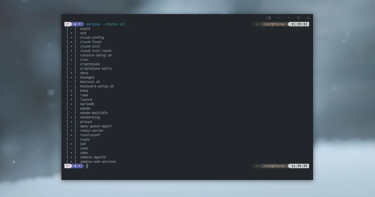 Debian Services Status All
